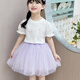 
Balabala Girls Summer New Butterfly Top Lace Skirt Suit Skirt C3 3892 Purple Skirt 110 cm