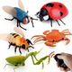 
Original direct supply of novel and unique infrared remote control electric insect toys electric snail and mouse prank 9923 bee 129G weight 0.29kg