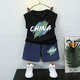 Escape Star Children's Shorts 9-14 Years Old Boy Sleeveless Vest Set Wearing Summer Thin Style Two-Piece Set in China White Vest T1049 + Black Shorts T1049 Small 90 cm Recommended height below 90CM