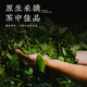 茗福纪茶叶礼盒500g特级大红袍乌龙茶武夷岩茶送长辈礼物节日商务伴手礼