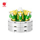 
Shantoulin Village plant building blocks and flowers cute small ornaments DIY assembly toy wholesale XJ-10975(F) Ji Shanhu