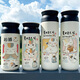 Cat Teacher Japanese Thermos Copa Cartoon Lindo Café de vacío de dibujos animados