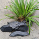 Fish tank stone ornamental stone original tank black gold fine schist turtle basking back schist landscaping platform fish tank climbing pet vacation 10Jin Jin equals 0.5kg small stone pile 5-10cm