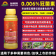 New Chaoyang Golden Crown Coronasporin Dihydropropyl Jasmonate Sweet Crown Combination to Sweeten and Color-Transform Winter Dates and Bayberry Grapes Color-Transfer Set 500ml+1L *1 Set