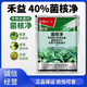 40% sclerotium purified sclerotinia, red spot, gray mold, sheath blight, rapeseed, pepper, cucumber pesticide and fungicide 20g*10 bags