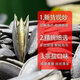 Pretty delicious tea salt beauty pumpkin seeds 2024 Xinjiang official flagship store long grain ripe original flavor New Year roasted snacks Extra large granules/net weight 1506g tea salt beauty