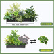 Yonghuan simulated green plant flower tank landscaping partition combination flower box fake plant interior window drop landscaping decoration A5012 yellow edge banana leaves + 3 fork lily bamboo white edge