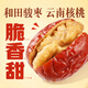 
Baicaowei Daily Hug Fruit 758g Xinjiang Hotan Junjujube with Walnut and Red Date Gift Box Snacks Gift Package Gift Gift