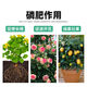 Phosphate fertilizer, superphosphate fertilizer for growing vegetables and flowers, fertilizer for fruit trees, flowers and agricultural crops, general flower-stimulating calcium phosphate fertilizer, 50 Jin Jin is equal to 0.5 kg (can be shipped in whole package)