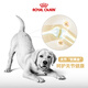 Royal Dog Food Labrador Adult Dog Food Dog Food Pet Large Dog LR30 Full Price Dog Food 15 3KG