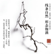 咏幻龙枣干枝树枝树干装饰弯曲龙爪插花干枝侘寂艺术风干禅意干花 天然龙枣枝15885cm 一物一拍 干树枝