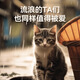 Laughing Pet Stray Cat Rescue Cat Food Wholesale Full Price Cat Main Food Adult Cats and Kittens General Fattening Pet Cat Food Stray Grain-Free Cat Food 2.4kg (1.2kg*2)