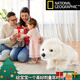 国家地理（National Geographic）毛绒玩具仿真动物玩偶大熊猫公仔北极熊宝宝款圣诞节礼物 宝宝4件套(小熊猫、大熊猫、北极 宝宝系列