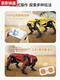 Bloques de construcción de programación para niños Robot Robot Robot Electric Mechanical Dog de 6 a 14 años REZUCHA Juguetes Regalos de cumpleaños New Black Technology Wing Dragon Robot/695