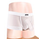 Herren-Tanga Sexy T-Touser Herren hohl volle transparent niedrige Taille dünner Gürtel Stretch dichtes kreativer Unterwäsche T-290 Rot transparent) M2.1-2.2
