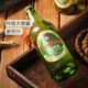 Tsingtao Beer Classic Lager 10 P 618ml