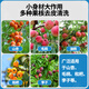 
Zhongnong Jiarui almond kernel apricot meat apricot kernel separator Shan Apricot peeling machine core meat separator thickened steel pulp separator 1050 flagship almond divider-single machine