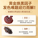 Molilla Craftsman Ganoderma Lucidum Cucérculos de mar mulberry Sésamo negro Polvo de cabello Bean negro Polvo Suplemento Nutricional Comida temprana Wolfberry 500G