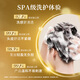 施华蔻（Schwarzkopf）多效修护套装800ml(洗400ml+润400ml) 温和修护洗发水 柔顺净油