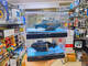 Niños Mini de seis vías de control remoto Submarino Submarino Hovercraft Water Play Speedboat Airship Toy Yate Toy Simuled Remote Control Remote Blue 580 Estándar + Batería de control remoto + destornillador