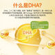 浙华药业DHA蛋白质粉学生脑部黄金期补脑改善记忆力儿童青少年补充蛋白质 【DHA蛋白质粉】*1罐到手1050g