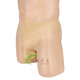 Latex underwear men's sexy U convex bag Yiyang pants men's transparent tight briefs one-piece safety pants thin skin color one size