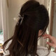 Brown star transparent clip, fresh half-tied hair clip at the back of the head, women's new shark clip hair accessory, high-end champagne five-pointed star clip