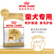 Royal Dog Food Shiba Inu Dog Food Food Pet Medium SIA26 Precio completo Alimento para perros de octubre-8 años 6.5 kg