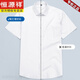Hengyuanxiang High-String Velvet Cotton Coton Coton à manches courtes pour les hommes en matière d'affaires d'été et de coton décontracté Coton Coton Anti-Wrunkes Shemd-Sheeved Shirt DX6626 Machine Washable 40