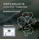 La ceremonia de té té especial fénix pino sencillo té oolong 100g fragancia espesor nuevo té auténtico chaozhou milan fragante conjunción individual