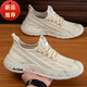Changxiang Huili large-size men's shoes for spring and summer 2025 new breathable mesh shoes for men 4546 47 48 running casual sports shoes FH-Yibo 25-2 black 48