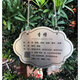 Letrero de árbol hecho a medida de acero inoxidable metal plantas verdes letrero ecológico patio flores y árboles introducción adopción plug-in acero inoxidable 20*15