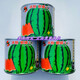 Rock sugar unicorn watermelon seeds extra large high yield red flesh spring sowing Zaojia 8424 super sweet original Zaojia 8424 original 5g