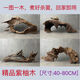 
No 80cm sunken wood purple teak wood grass tank fish tank landscaping aquarium decoration turtle sunbed platform to avoid hermit crab climbing light red instant sink T3884