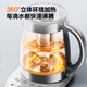 SUPOR Health Kettle Kettle Electric Kettle Tea Maker Hot Water Kettle Glass Flower Teapot 316L Stainless Steel Constant Temperature 2L Insulation Tea Kettle SW-20YQ69