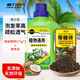 根力豆椰砖营养土养花通用型椰壳砖花土土壤种植土种菜脱盐椰糠砖批发 脱盐椰糠砖675G+营养液
