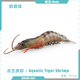Shantoulin Village Simulation Children's Early Education Cognition Aquatic Tiger Shrimp Spot Festival Prawns Marine Freshwater Biological Solid Model Toy Ornaments T15688 Aquatic Tiger Shrimp 103g