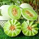 NONGZHIZI New Jade Mushroom Melon Seeds White Yugu Cantaloupe Honeydew Watermelon Fruit Honeydew Ice Cream New Jade Mushroom Melon Seeds 30 capsules 2/no residue