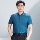 
Hongdu Summer New Short Sleeve Shirt Men's Thin Striped Nylon Fabric Middle-aged Men's Daddy Half Sleeve Shirt Bangzhiqing tm6630-1 One Size 170/88A