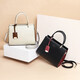 Citicity Luxury Sac Bag Femme Gift Handsbag grande capacité 2025 Nouveau sac de seau à corps croisé à la mode et polyvalent Black (Boîte-cadeau exquise)