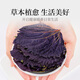 贡苑紫苏叶200g 紫苏叶茶干紫苏原材料紫苏籽泡茶 去腥伴侣袋泡装