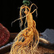 Changbaishan ginseng small fresh ginseng single branch wine soaked fresh ginseng supplement 6-10 grams of soup and wine ingredients Rich in ginseng saponin A