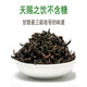 Beijing Tongrentang Qingqianliu Materiales medicinales chinos Wild Jinqianliu Qingqianliu Tierna tierno Sprouts Té de reemplazo de té de hojas de mora empapada en agua [2 latas] Un total de 500 gramos de Qingqianliu