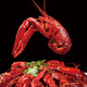 Jinjinshang Spicy Crayfish 3Jin Jin is equal to 0.5kg, 4-6 yuan. Clean shrimp 1.5Jin Jin is equal to 0.5kg, medium size 25-33 pieces.