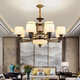 Opp's new Chinese dustproof chandelier home atmospheric living room lamp modern simple dining room lamp Zen warm bedroom LED lamp 9902-6 head