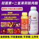 New Chaoyang Golden Crown Coronasporin Dihydropropyl Jasmonate Sweet Crown Combination to Sweeten and Color-Transform Winter Dates and Bayberry Grapes Color-Transfer Set 500ml+1L *1 Set