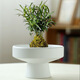 
Wholesale non-porous rice and bamboo hydroponic flower pot ceramic petal moss ball flower pot Jianshan green plant calamus Brazil wood bonsai TX small flat mouth JW1098 gray sand ceramic medium