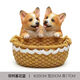 Creative Dog Entrance Key Storage Ornaments Place the Door Entrance Shoe Cabinet Desktop Decoration New House Gift Craft Gifts Double Corgi (14069A)