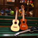 
IbanezADL veneer ukulele female beginners musical instruments small guitar students children's gift [Vector board] Ailian Say + full accessories + plus cotton bag 26 inches