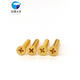 XMSJ Gold 304 Tornillo de acero inoxidable Countersunk Autocatado Autoducto Extendido Cabeza plana Tornillo de madera M2M3M4M5M6 M3*12200 Piezas